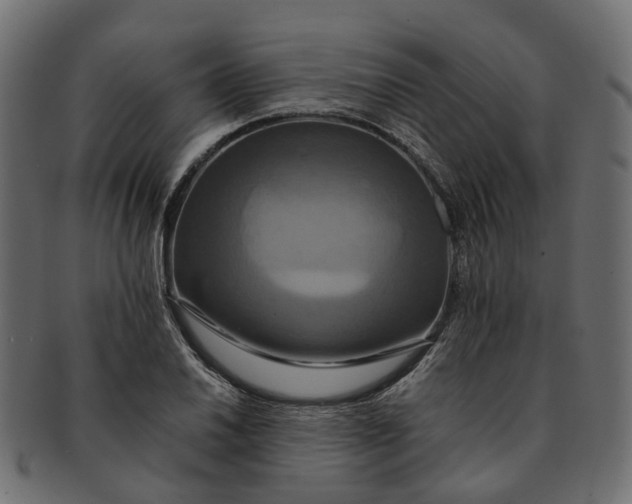 X0000091541030200709071059