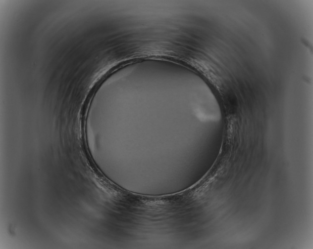 X0000091541031200709071059