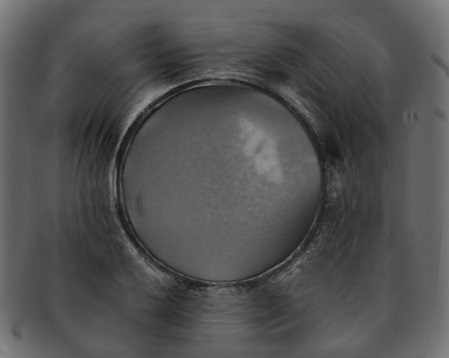 X0000091541032200709071059