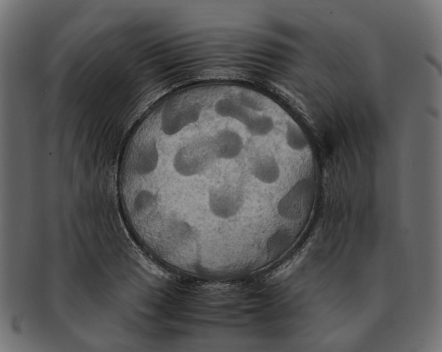 X0000091541033200709071059