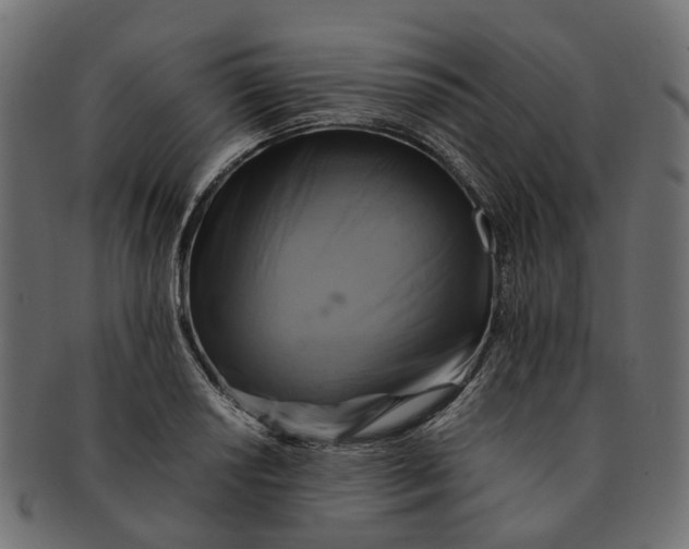 X0000091541034200709071059