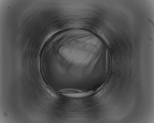 X0000091541035200709071059