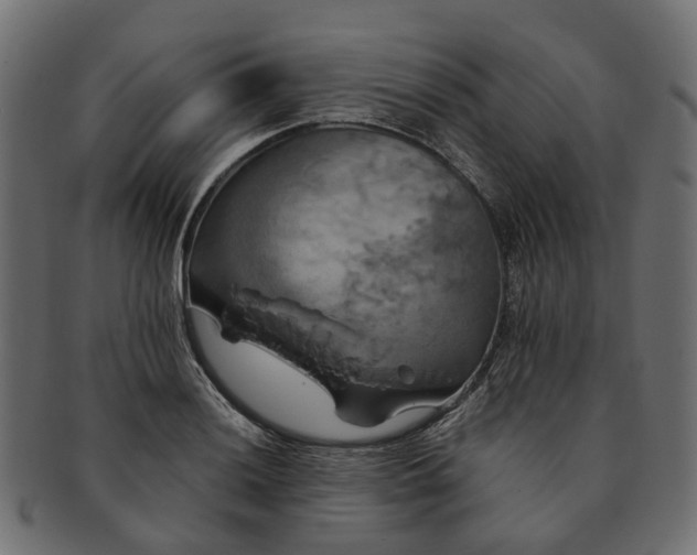 X0000091541036200709071059