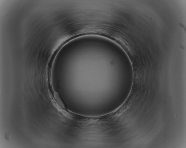 X0000091541038200709071059