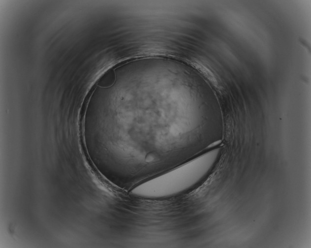 X0000091541039200709071059