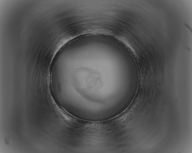 X0000091541040200709071059