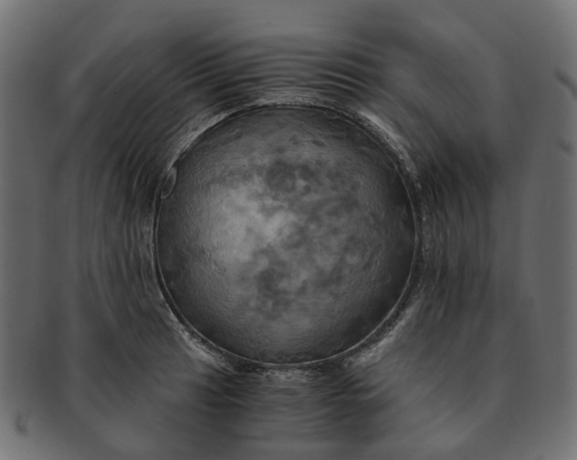 X0000091541041200709071059