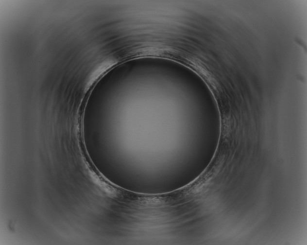 X0000091541042200709071059