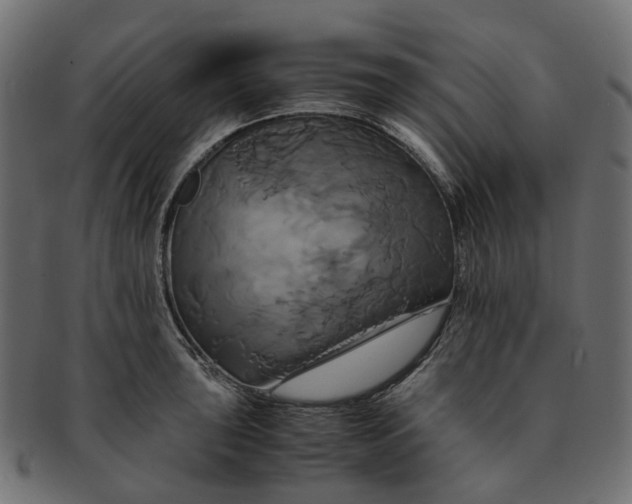 X0000091541043200709071059