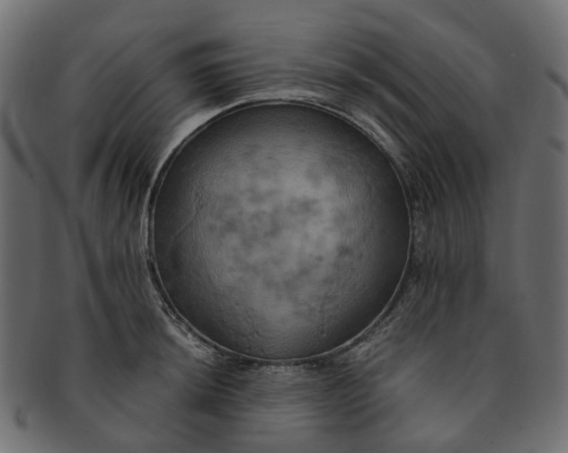 X0000091541044200709071059