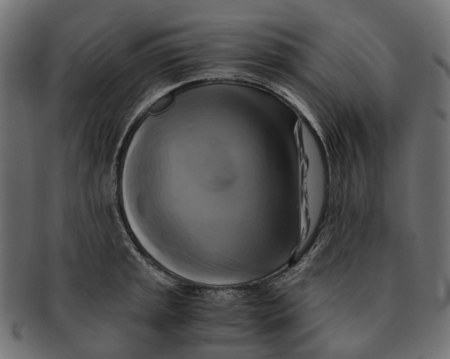 X0000091541045200709071059