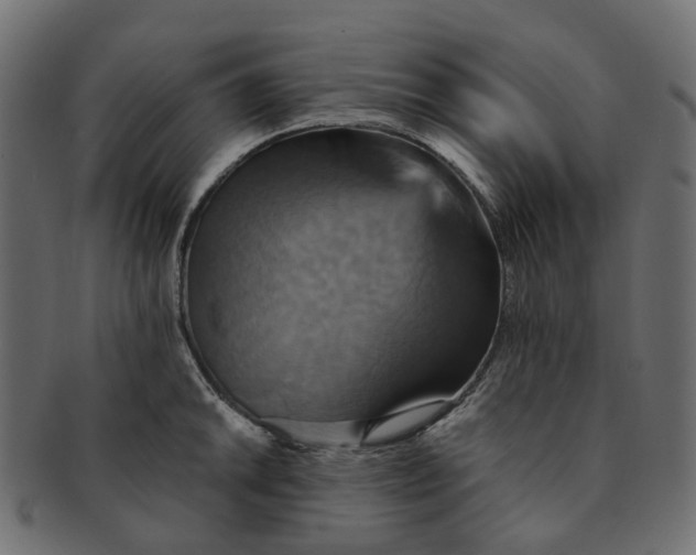 X0000091541046200709071100