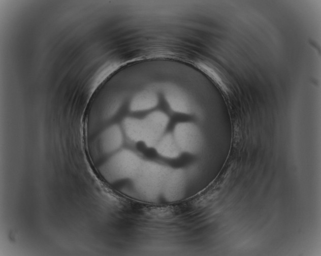 X0000091541047200709071100