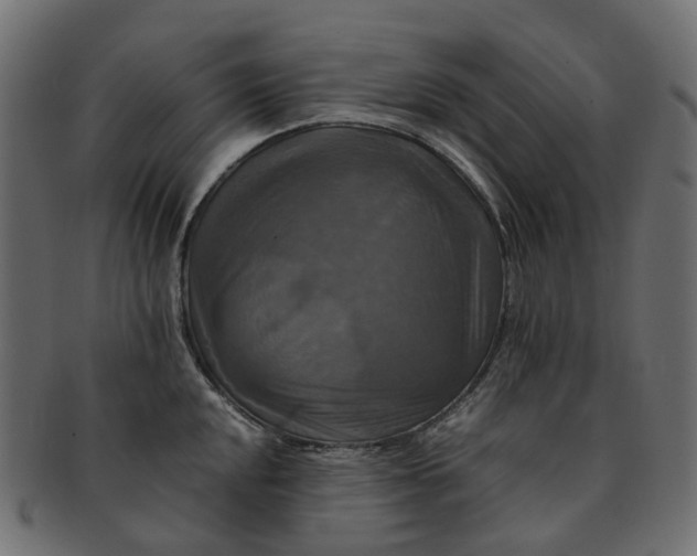 X0000091541048200709071100