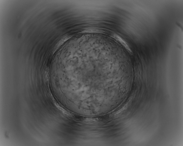 X0000091541049200709071100