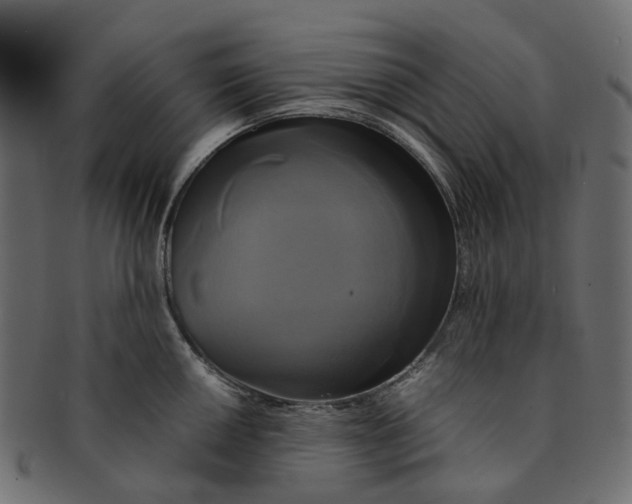 X0000091541050200709071100