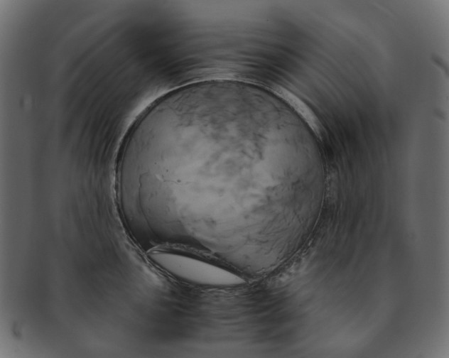 X0000091541051200709071100