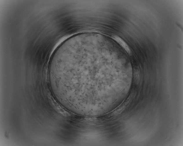 X0000091541052200709071100