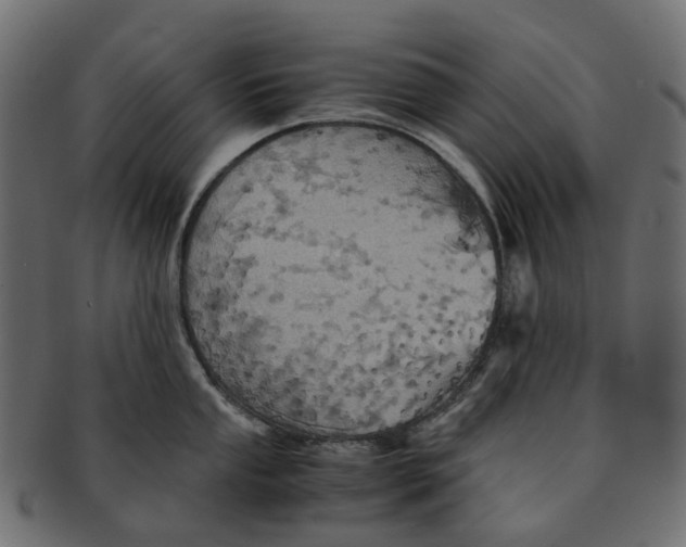 X0000091541053200709071100