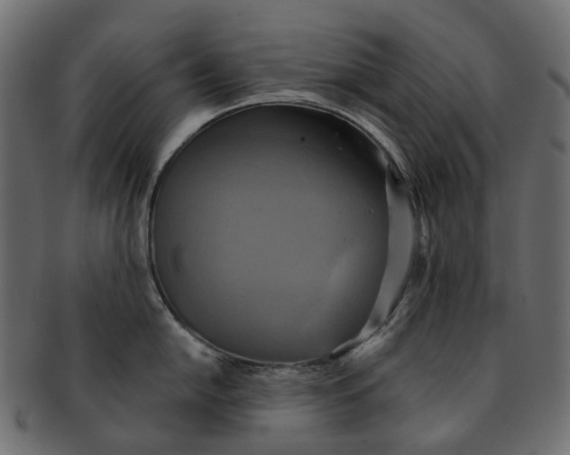 X0000091541054200709071100