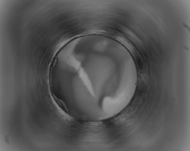 X0000091541055200709071100