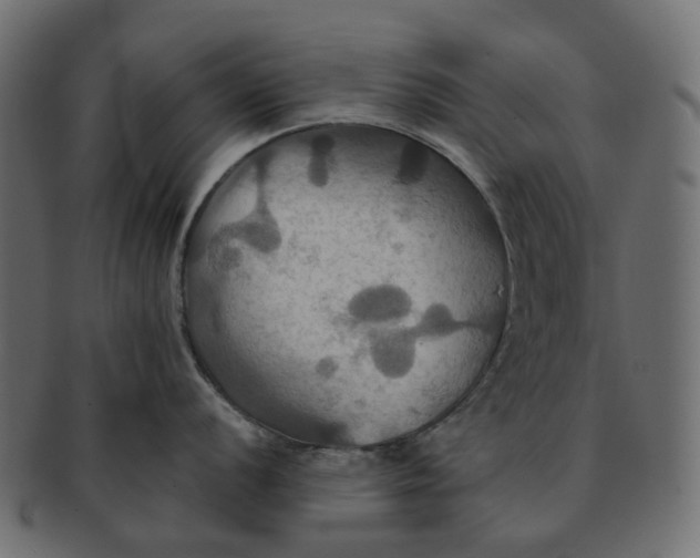 X0000091541056200709071100