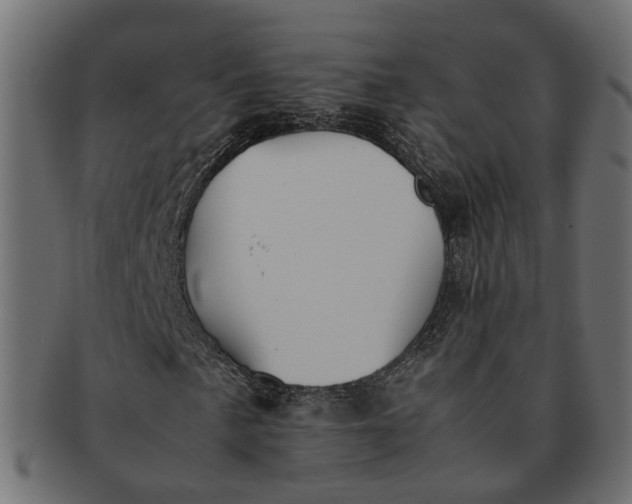 X0000091541057200709071059