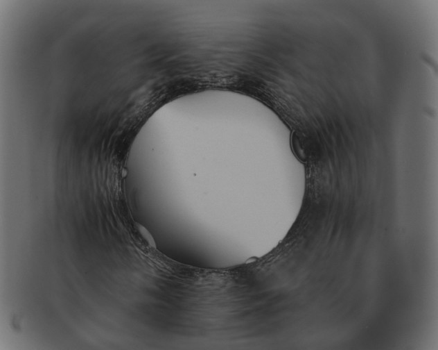 X0000091541058200709071059