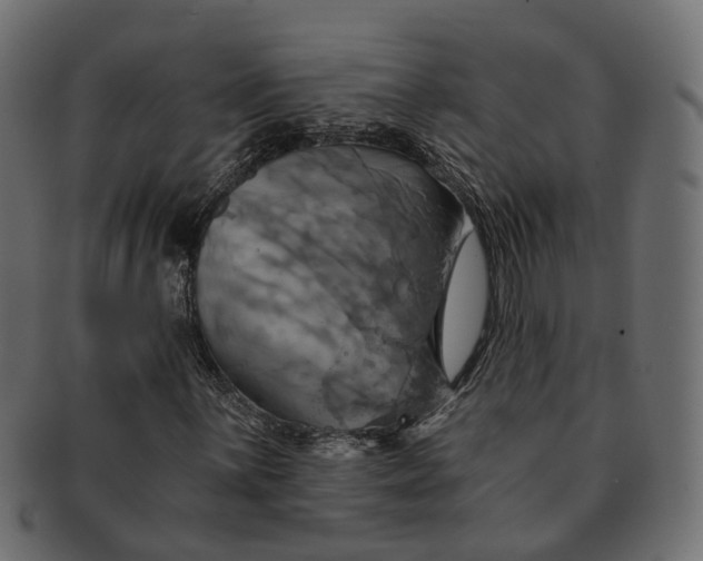 X0000091541059200709071059