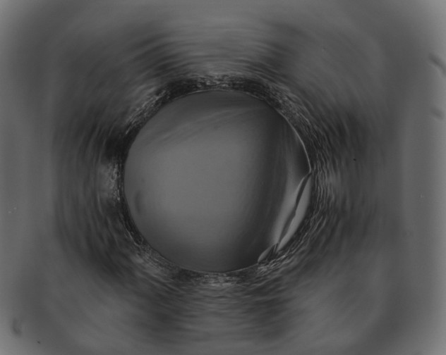 X0000091541060200709071059