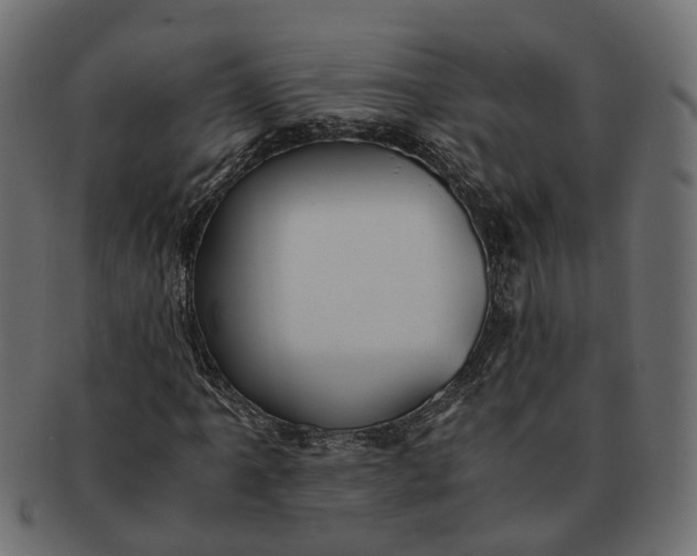 X0000091541061200709071059