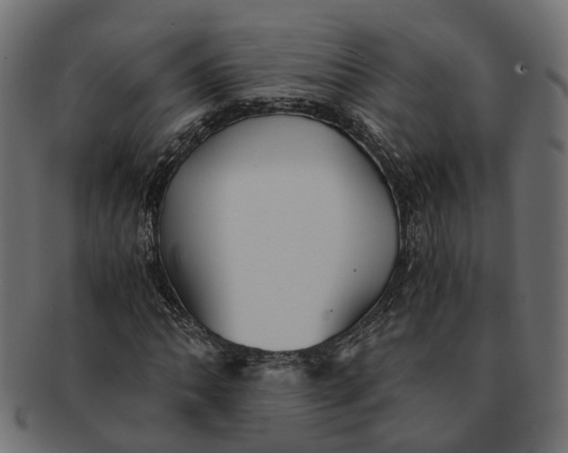 X0000091541062200709071059