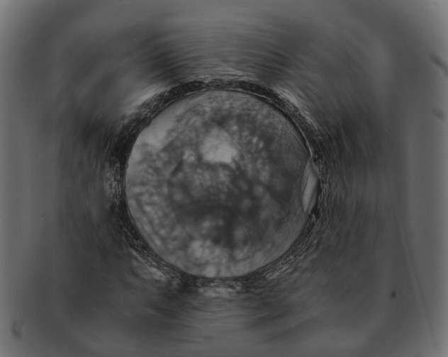 X0000091541063200709071059