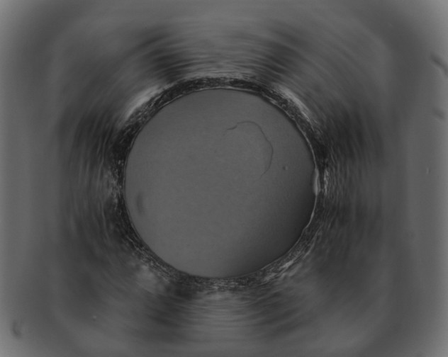 X0000091541064200709071059