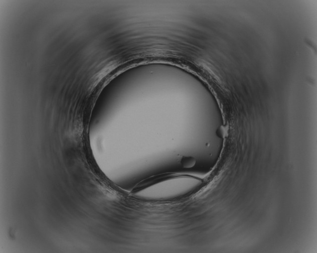 X0000091541065200709071059