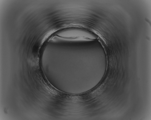 X0000091541066200709071059