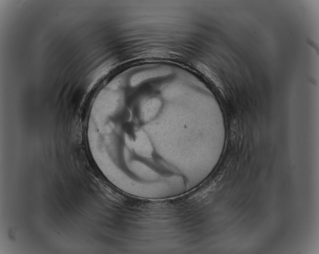 X0000091541067200709071059