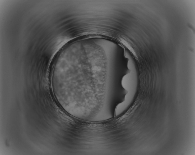 X0000091541068200709071059