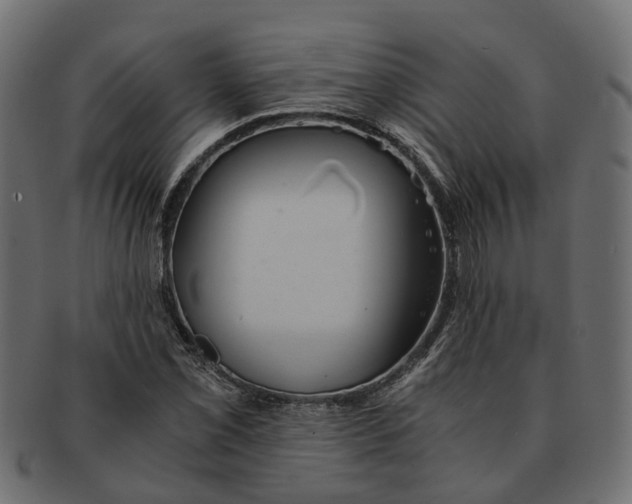 X0000091541069200709071059