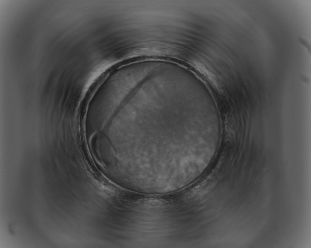 X0000091541070200709071059