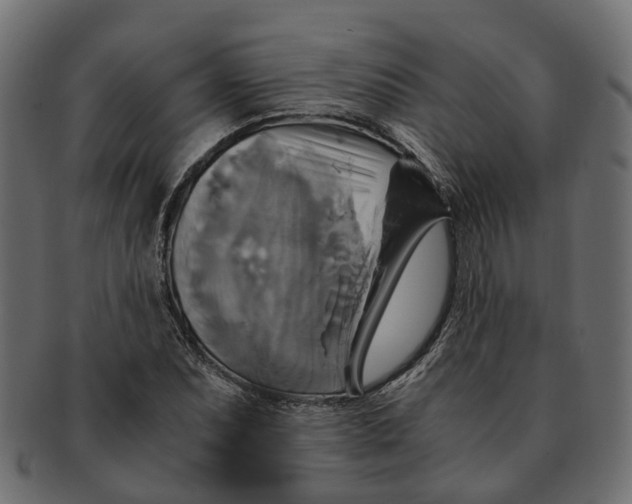 X0000091541071200709071059