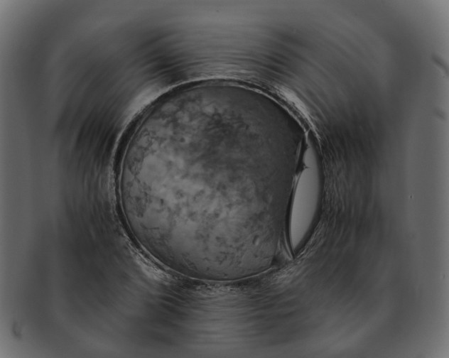 X0000091541072200709071059