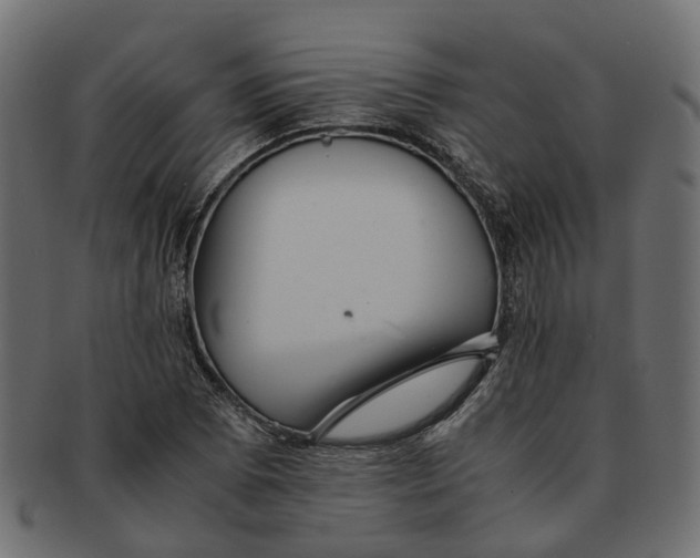 X0000091541073200709071059