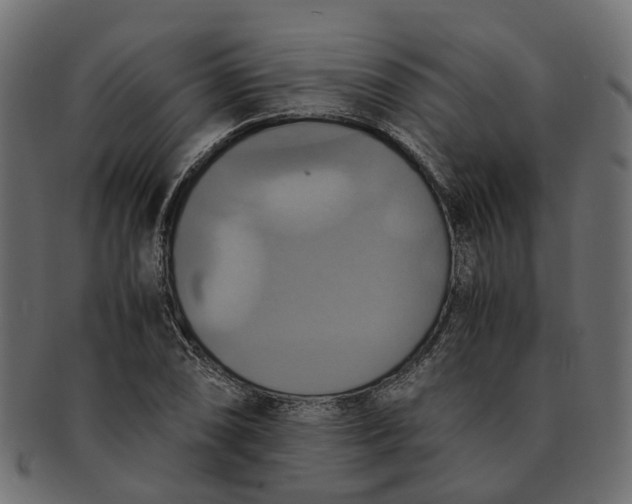 X0000091541074200709071059