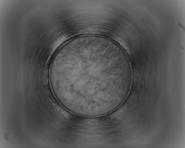 X0000091541075200709071059