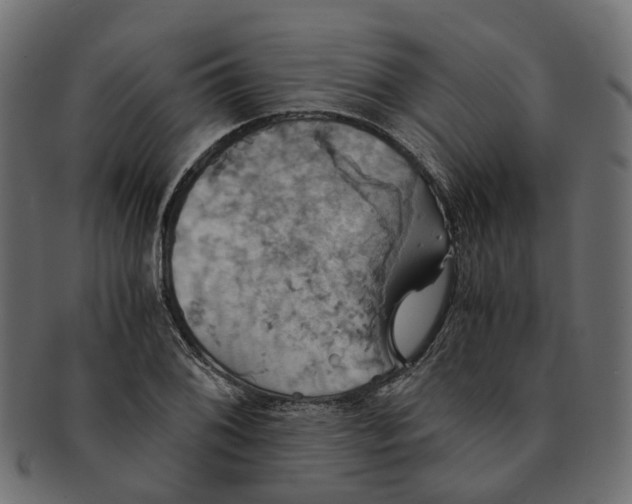 X0000091541076200709071059