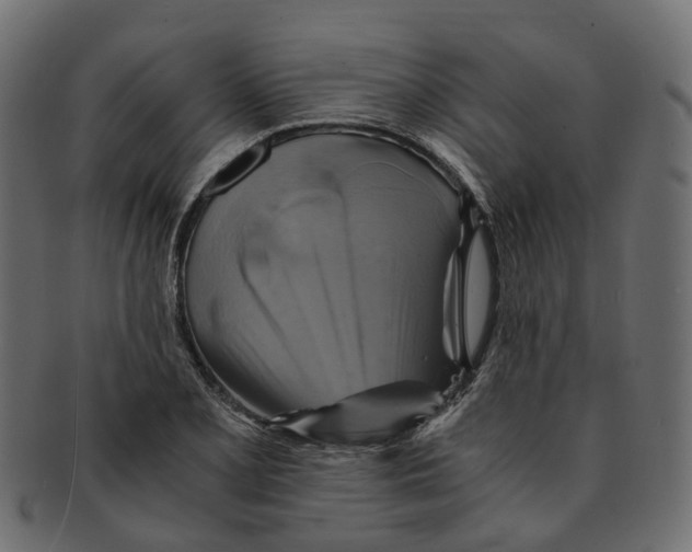 X0000091541077200709071059