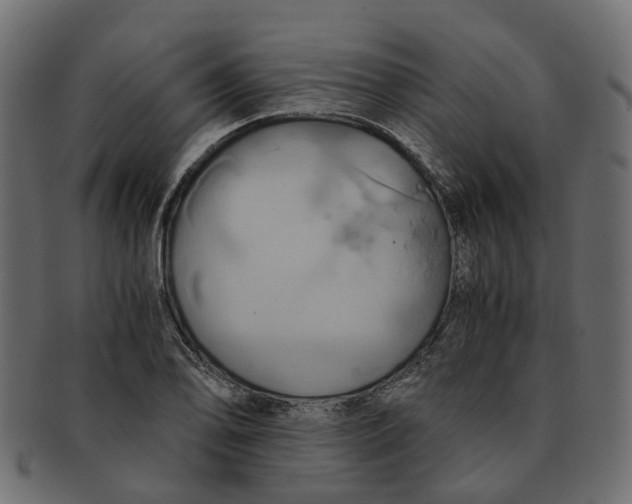 X0000091541078200709071059