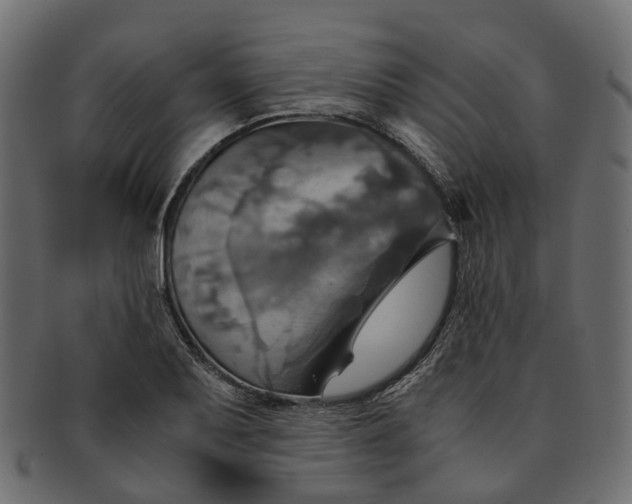 X0000091541079200709071059