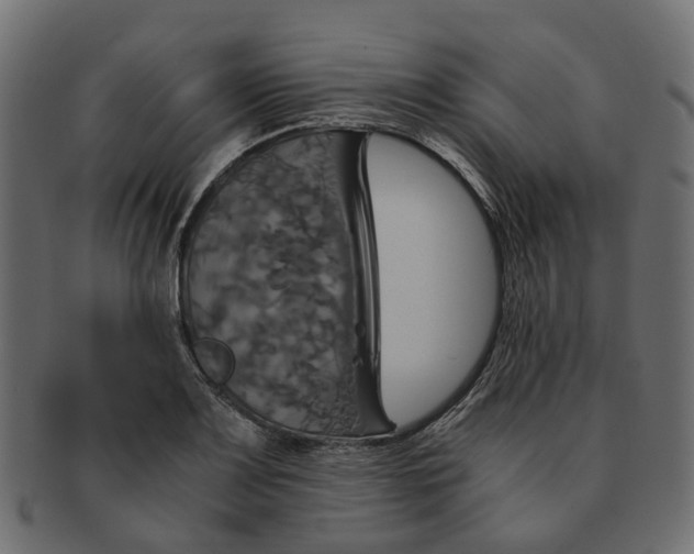 X0000091541083200709071058